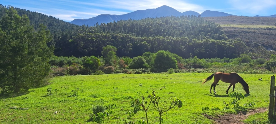 Commercial Property for Sale in Bredasdorp Rural Western Cape